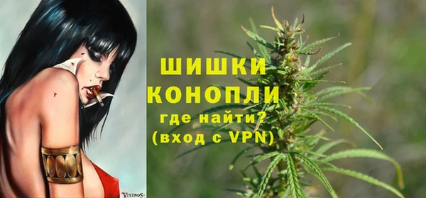 PSILOCYBIN Абдулино