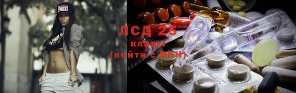 тгк Абинск