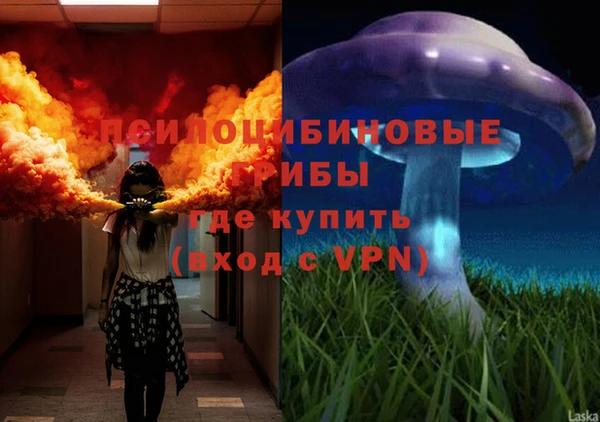 тгк Абинск