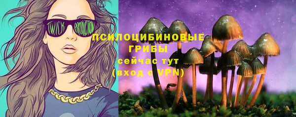 тгк Абинск