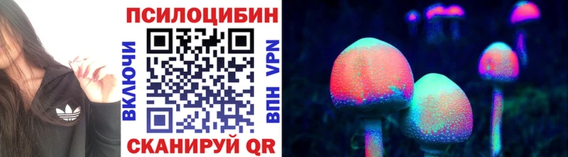 Галлюциногенные грибы GOLDEN TEACHER  Тихорецк 